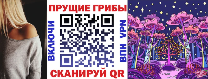 Галлюциногенные грибы Magic Shrooms  где можно купить наркотик  Приволжск 